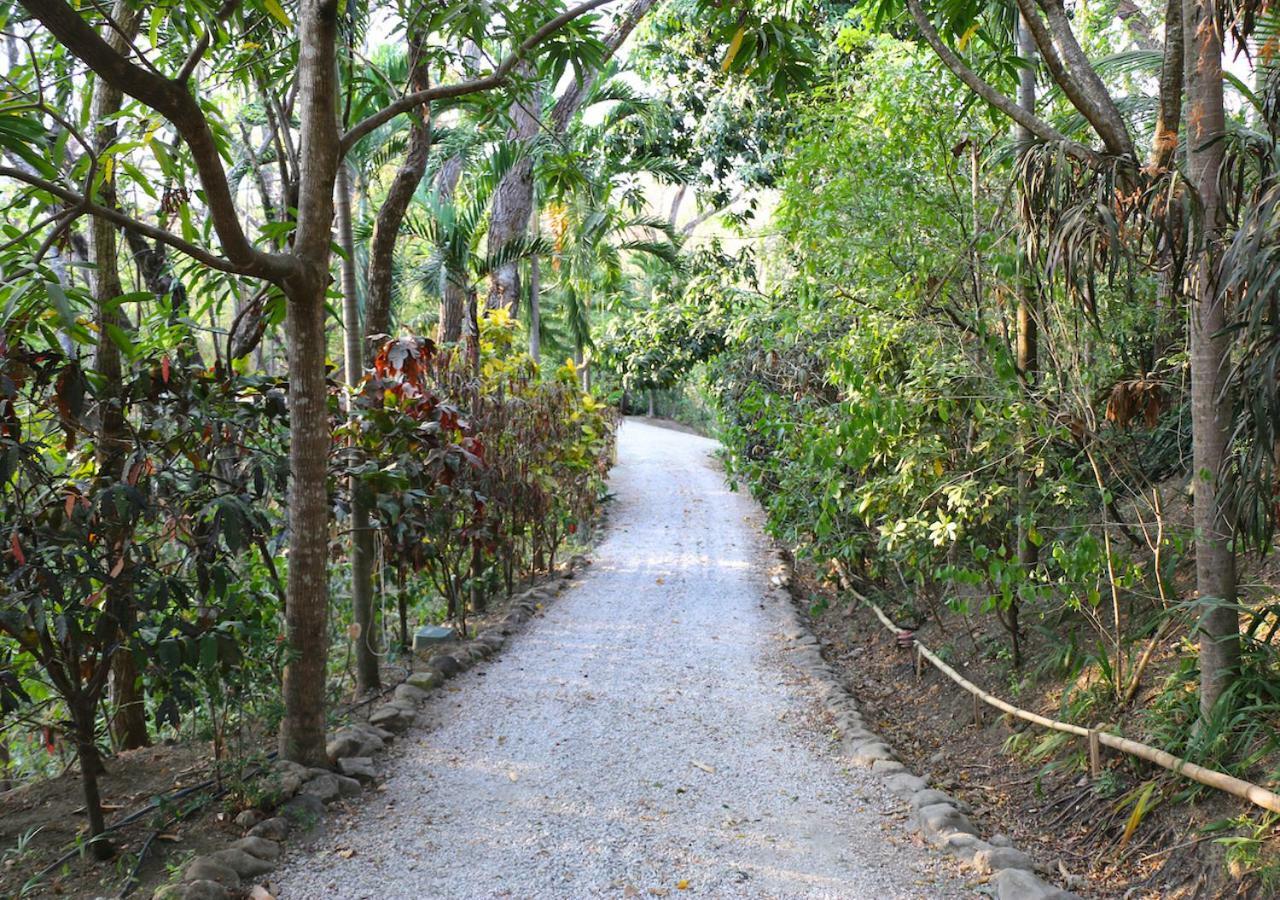 Nosara B&B Retreat 외부 사진