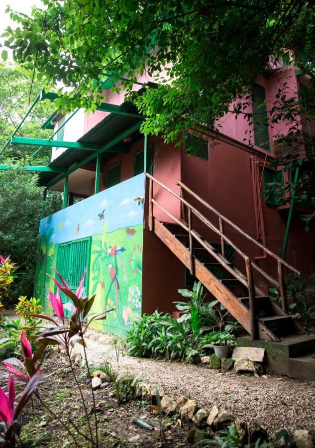 Nosara B&B Retreat 객실 사진